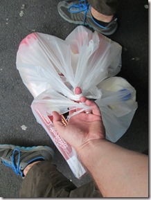 Weltreise 2013 - Neuseeland 014