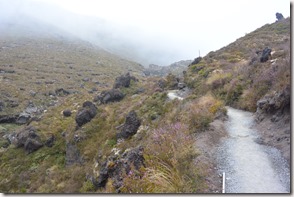 Weltreise 2013 - Neuseeland 003