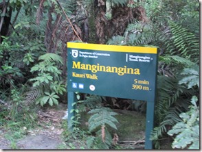 Weltreise 2013 - Neuseeland 004