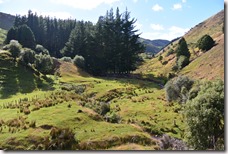 Weltreise 2013 - Neuseeland 007