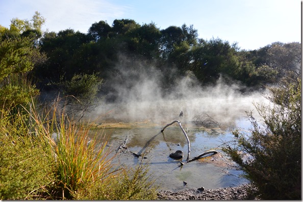 Weltreise 2013 - Neuseeland 008