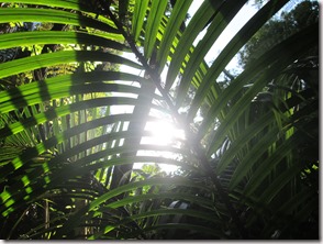 Weltreise 2013 - Neuseeland 014