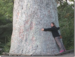 Weltreise 2013 - Neuseeland 016