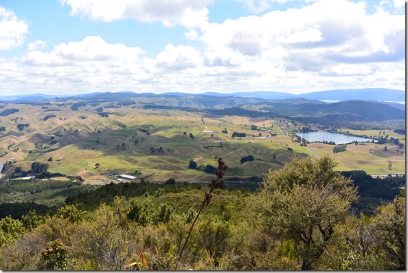 Weltreise 2013 - Neuseeland 018