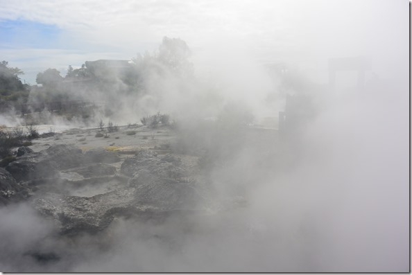 Weltreise 2013 - Neuseeland 018