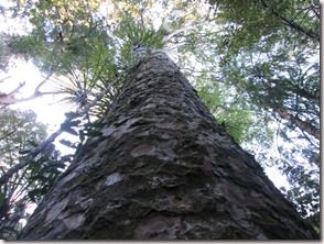 Weltreise 2013 - Neuseeland 019