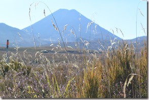 Weltreise 2013 - Neuseeland 019