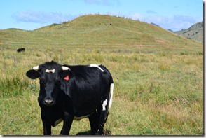 Weltreise 2013 - Neuseeland 020