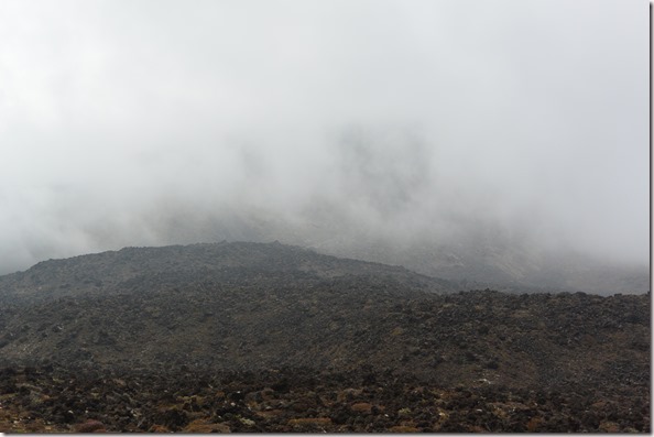 Weltreise 2013 - Neuseeland 021