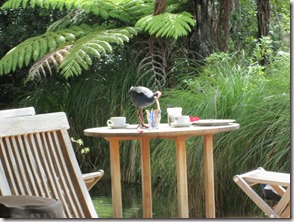 Weltreise 2013 - Neuseeland 022