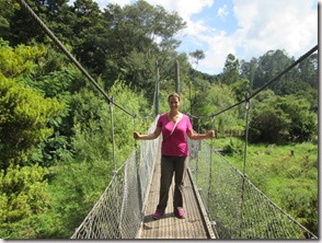 Weltreise 2013 - Neuseeland 027