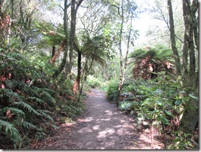 Weltreise 2013 - Neuseeland 029