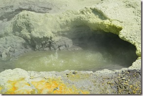 Weltreise 2013 - Neuseeland 031