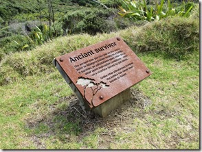 Weltreise 2013 - Neuseeland 034