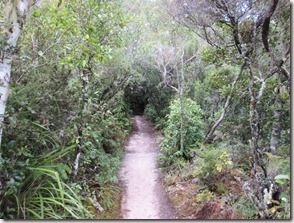 Weltreise 2013 - Neuseeland 036