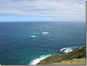 Weltreise 2013 - Neuseeland 037