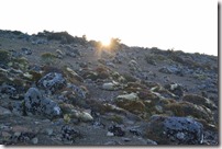 Weltreise 2013 - Neuseeland 039