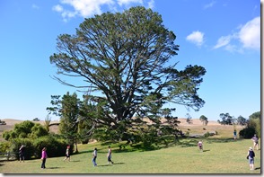 Weltreise 2013 - Neuseeland 045