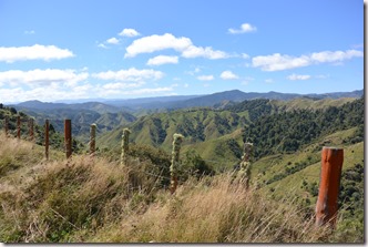 Weltreise 2013 - Neuseeland 046