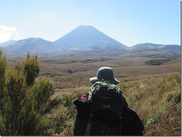 Weltreise 2013 - Neuseeland 050