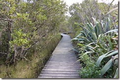 Weltreise 2013 - Neuseeland 051