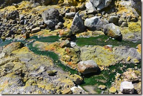 Weltreise 2013 - Neuseeland 052