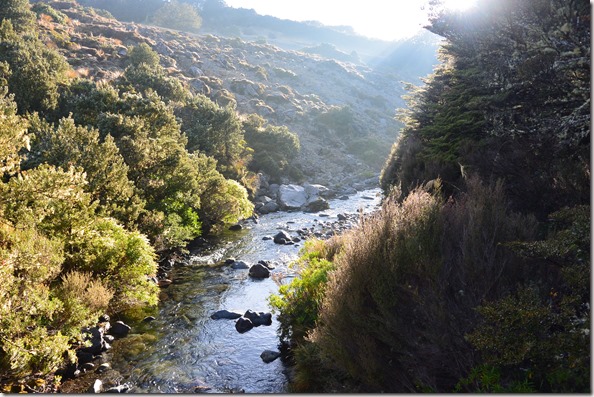 Weltreise 2013 - Neuseeland 052