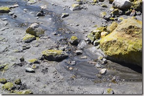 Weltreise 2013 - Neuseeland 054