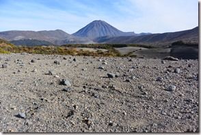 Weltreise 2013 - Neuseeland 057