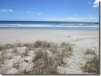 Weltreise 2013 - Neuseeland 058