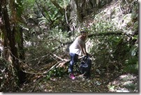 Weltreise 2013 - Neuseeland 058