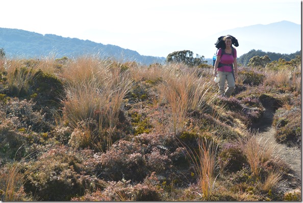 Weltreise 2013 - Neuseeland 059