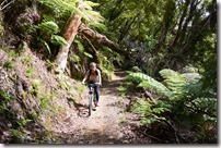 Weltreise 2013 - Neuseeland 059