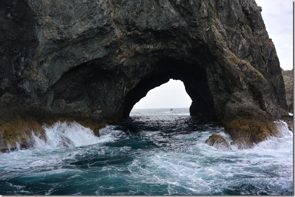 Weltreise 2013 - Neuseeland 060