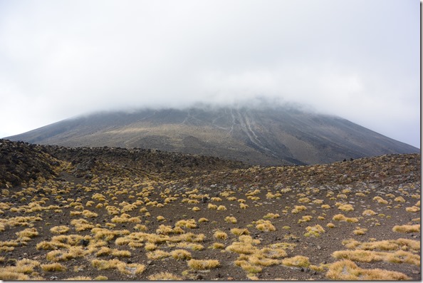 Weltreise 2013 - Neuseeland 060