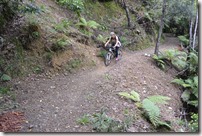 Weltreise 2013 - Neuseeland 061