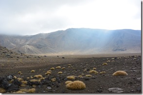 Weltreise 2013 - Neuseeland 062