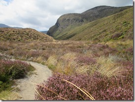 Weltreise 2013 - Neuseeland 063