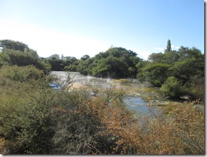 Weltreise 2013 - Neuseeland 067