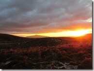 Weltreise 2013 - Neuseeland 069