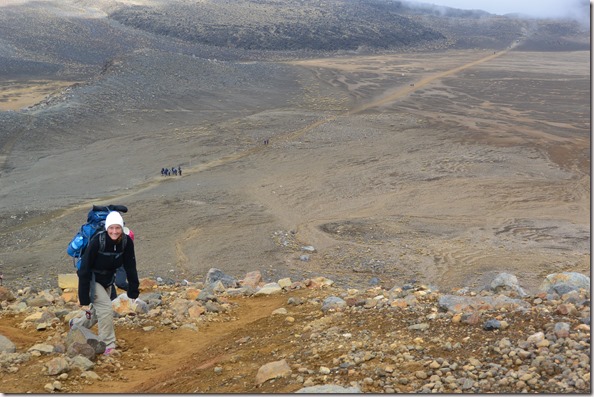 Weltreise 2013 - Neuseeland 069