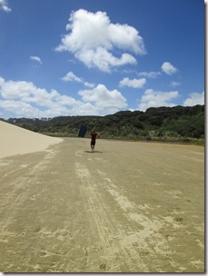 Weltreise 2013 - Neuseeland 070