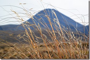 Weltreise 2013 - Neuseeland 070