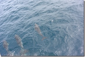 Weltreise 2013 - Neuseeland 083