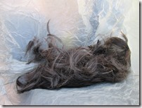 Weltreise 2013 - Neuseeland 164