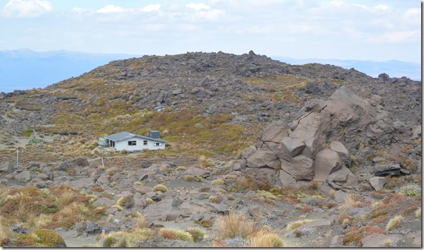 Weltreise 2013 - Neuseeland 165