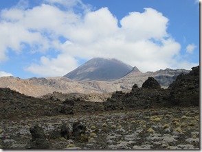 Weltreise 2013 - Neuseeland 228