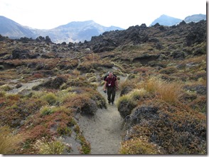 Weltreise 2013 - Neuseeland 238