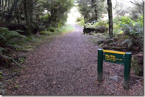 Weltreise 2013 - Neuseeland 001