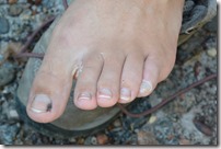 Weltreise 2013 - Neuseeland 003